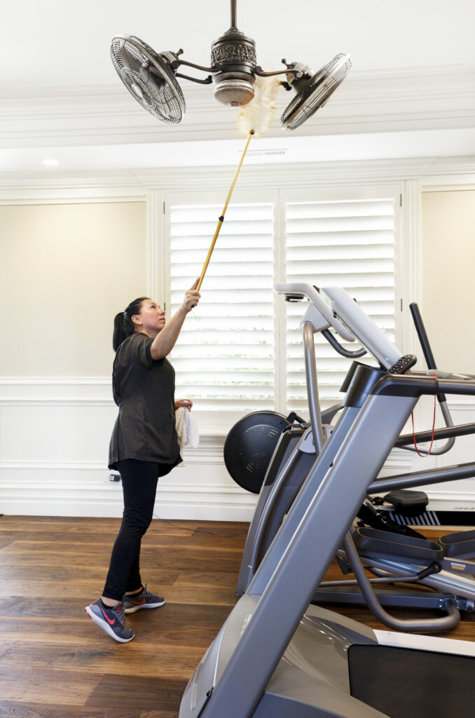 cleaning fan